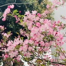 苏州旅游 缩略图 16