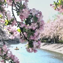 北京旅游 缩略图 2