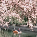 北京旅游 缩略图 3