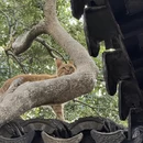 苏州旅游 缩略图 10