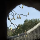 苏州旅游 缩略图 5