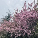 苏州旅游 缩略图 18