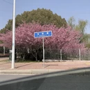 苏州旅游 缩略图 11