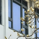 苏州旅游 缩略图 18