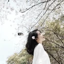 苏州旅游 缩略图 12
