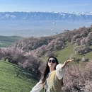 伊犁旅游 缩略图 1