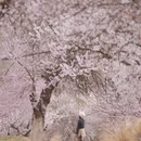 喀什地区旅游 缩略图 3