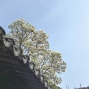 苏州旅游 缩略图 9