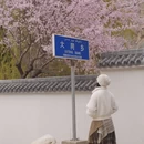 喀什地区旅游 缩略图 4