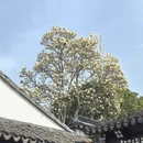 苏州旅游 缩略图 11