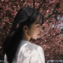 苏州旅游 缩略图 5