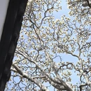 苏州旅游 缩略图 13