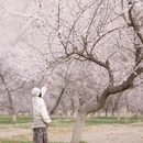 喀什地区旅游 缩略图 9