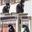 苏州旅游 缩略图 14