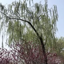 北京旅游 缩略图 9