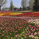 北京旅游 缩略图 6
