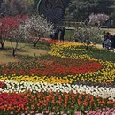 北京旅游 缩略图 9