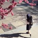 北京旅游 缩略图 12