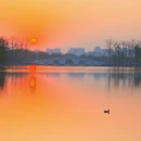 北京旅游 缩略图 7
