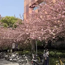 芜湖旅游 缩略图 6