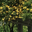 南京旅游 缩略图 2