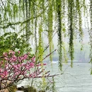 北京旅游 缩略图 8