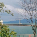 深圳旅游 缩略图 9