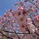 北京旅游 缩略图 6