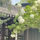 苏州旅游 缩略图 3