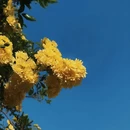 南京旅游 缩略图 10