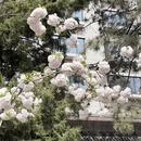 北京旅游 缩略图 2