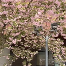 芜湖旅游 缩略图 7