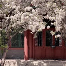 北京旅游 缩略图 6