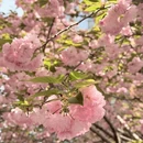 芜湖旅游 缩略图 2