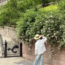 重庆旅游 缩略图 8