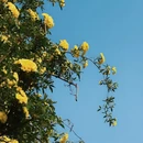 南京旅游 缩略图 6