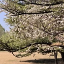 北京旅游 缩略图 13