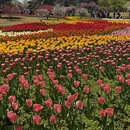 北京旅游 缩略图 7