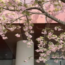 芜湖旅游 缩略图 3