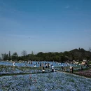 上海旅游 缩略图 6