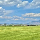 大理州旅游 缩略图 1