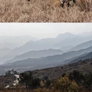 广州旅游 缩略图 2