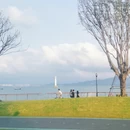 深圳旅游 缩略图 3