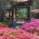 武汉旅游 缩略图 8