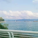深圳旅游 缩略图 4