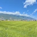 大理州旅游 缩略图 5