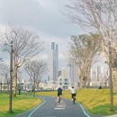 深圳旅游 缩略图 2