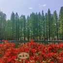 武汉旅游 缩略图 3