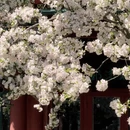 北京旅游 缩略图 5