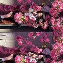 北京旅游 缩略图 1